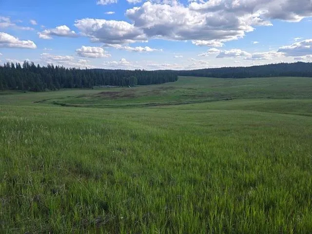 $330,000 | 5266 Wagner Road, Springdale, WA 99173