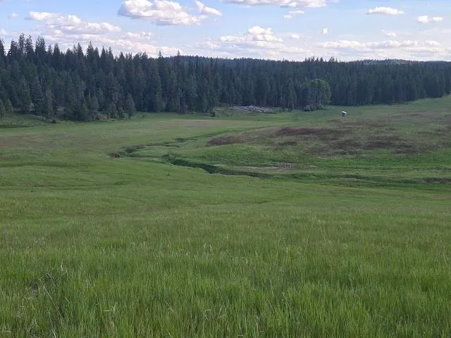 $330,000 | 5266 Wagner Road, Springdale, WA 99173