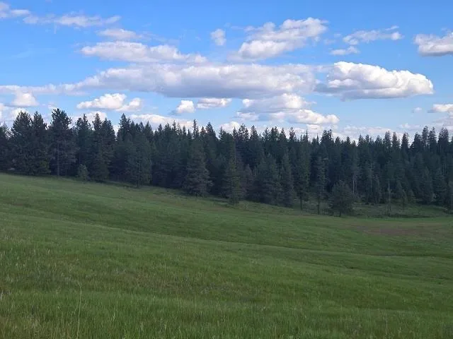 $330,000 | 5266 Wagner Road, Springdale, WA 99173