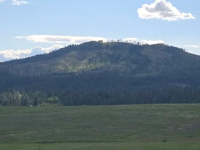 $330,000 | 5266 Wagner Road, Springdale, WA 99173