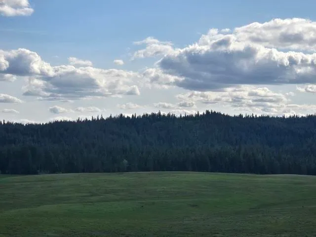 $330,000 | 5266 Wagner Road, Springdale, WA 99173