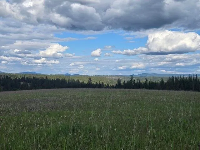 $330,000 | 5266 Wagner Road, Springdale, WA 99173