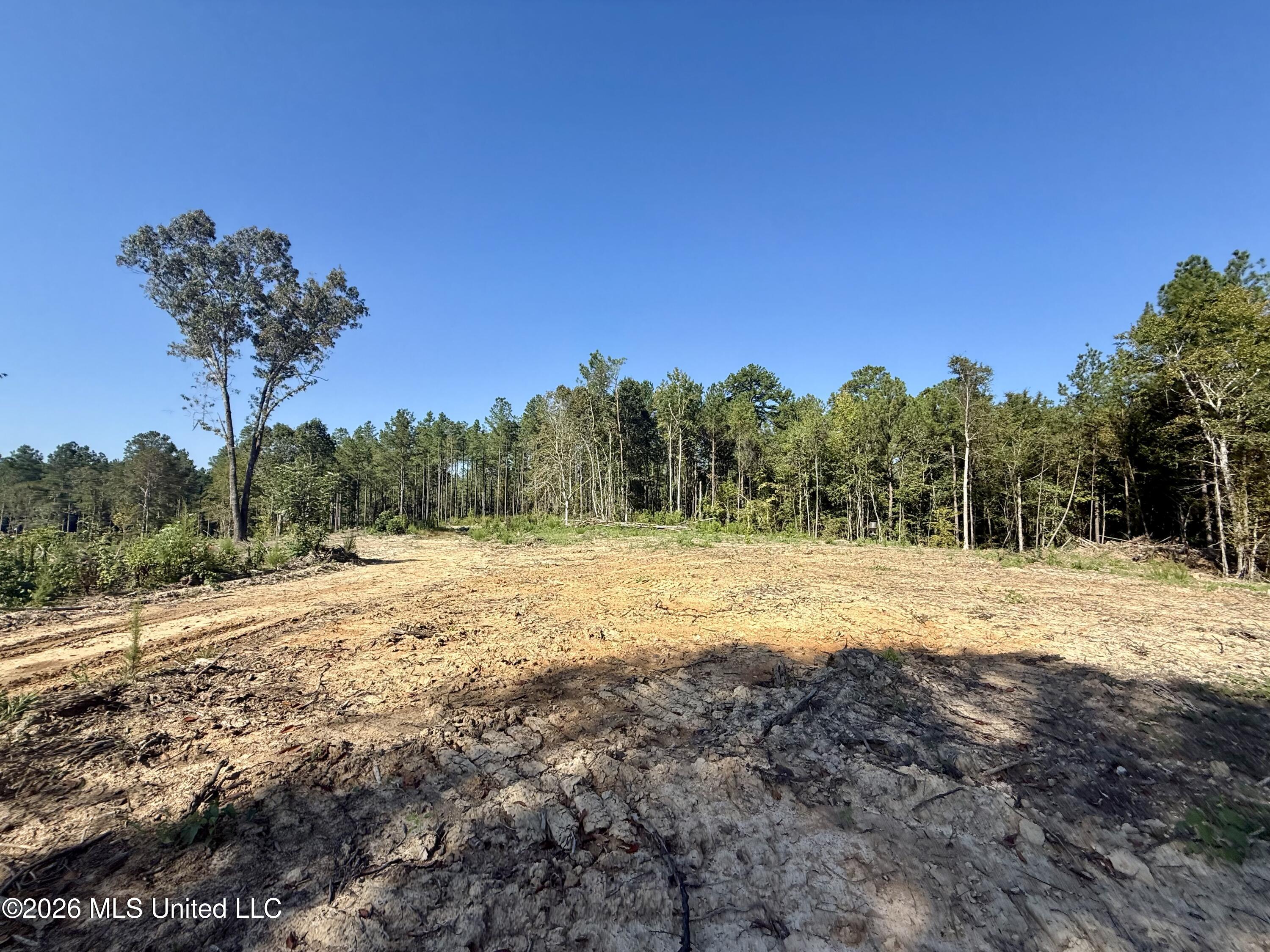 Cauthen Road Camden, MS 39045 - Photo 18 of 22 FullSizeRender