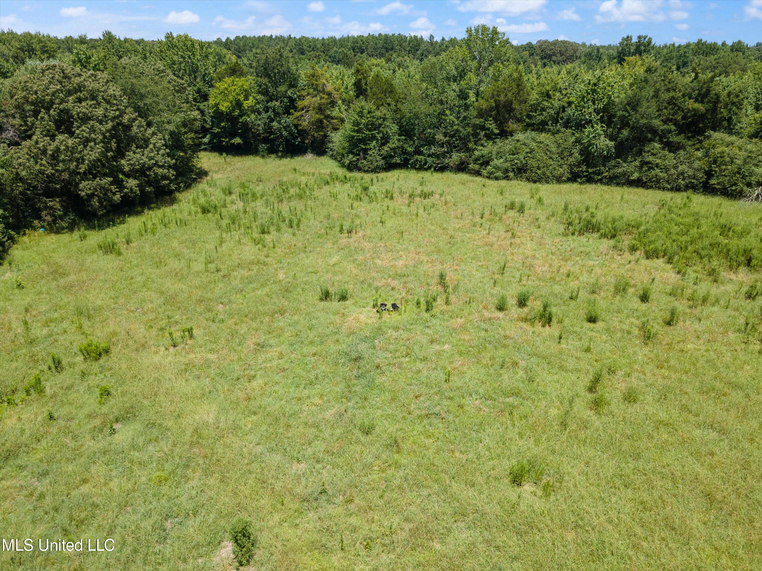 1102 South Red Banks Road Holly Springs, MS 38635 - Photo 17 of 21 10-DJI_0323