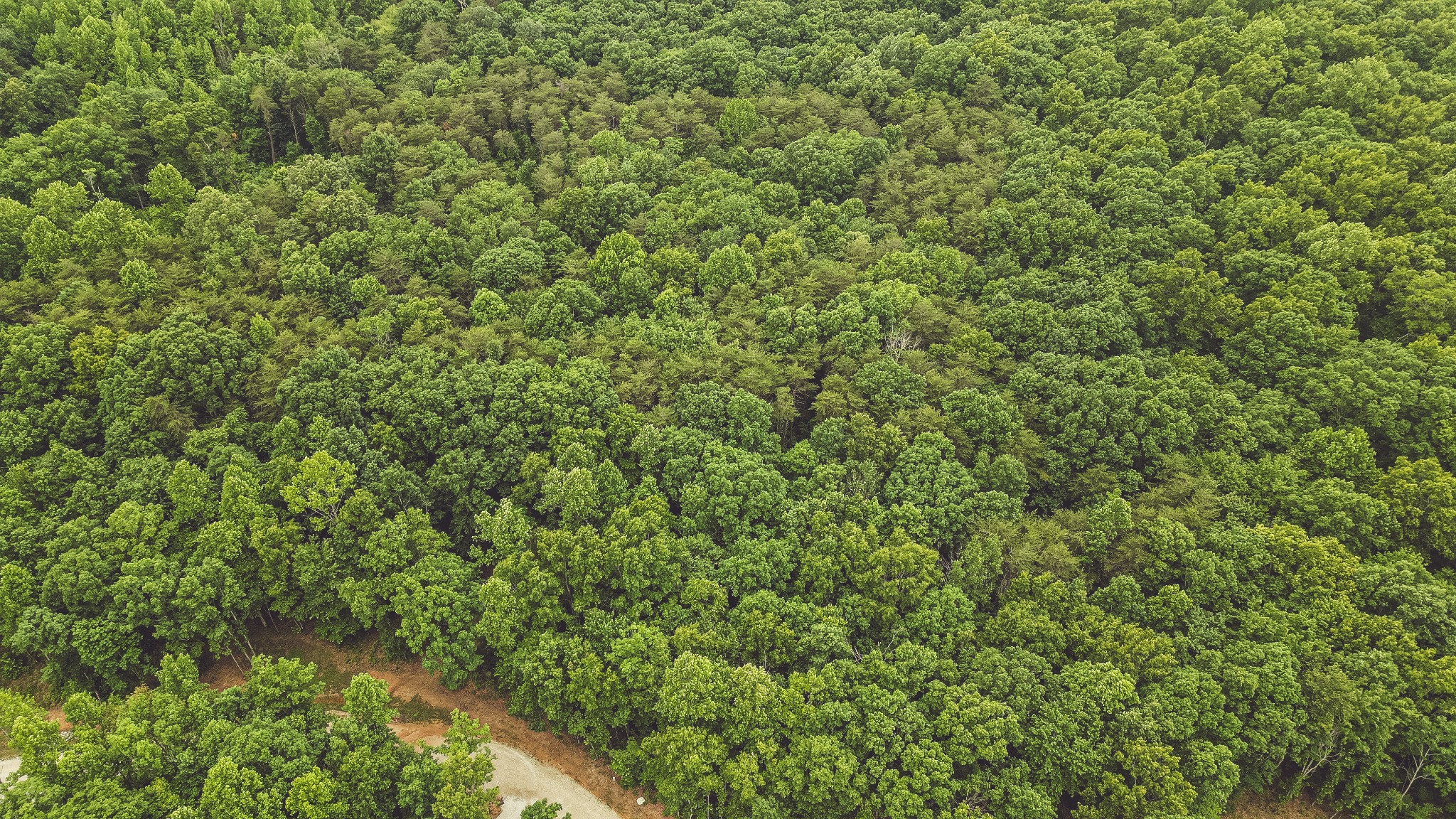 59 Twilight Point Monteagle, TN 37356 - Photo 14 of 18