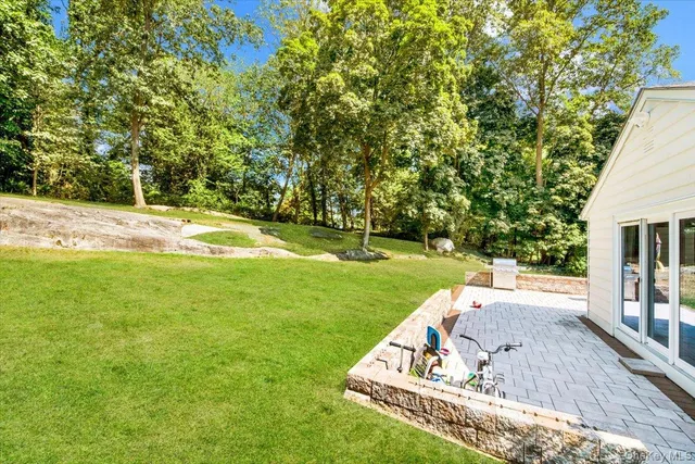 a view of a park with large trees