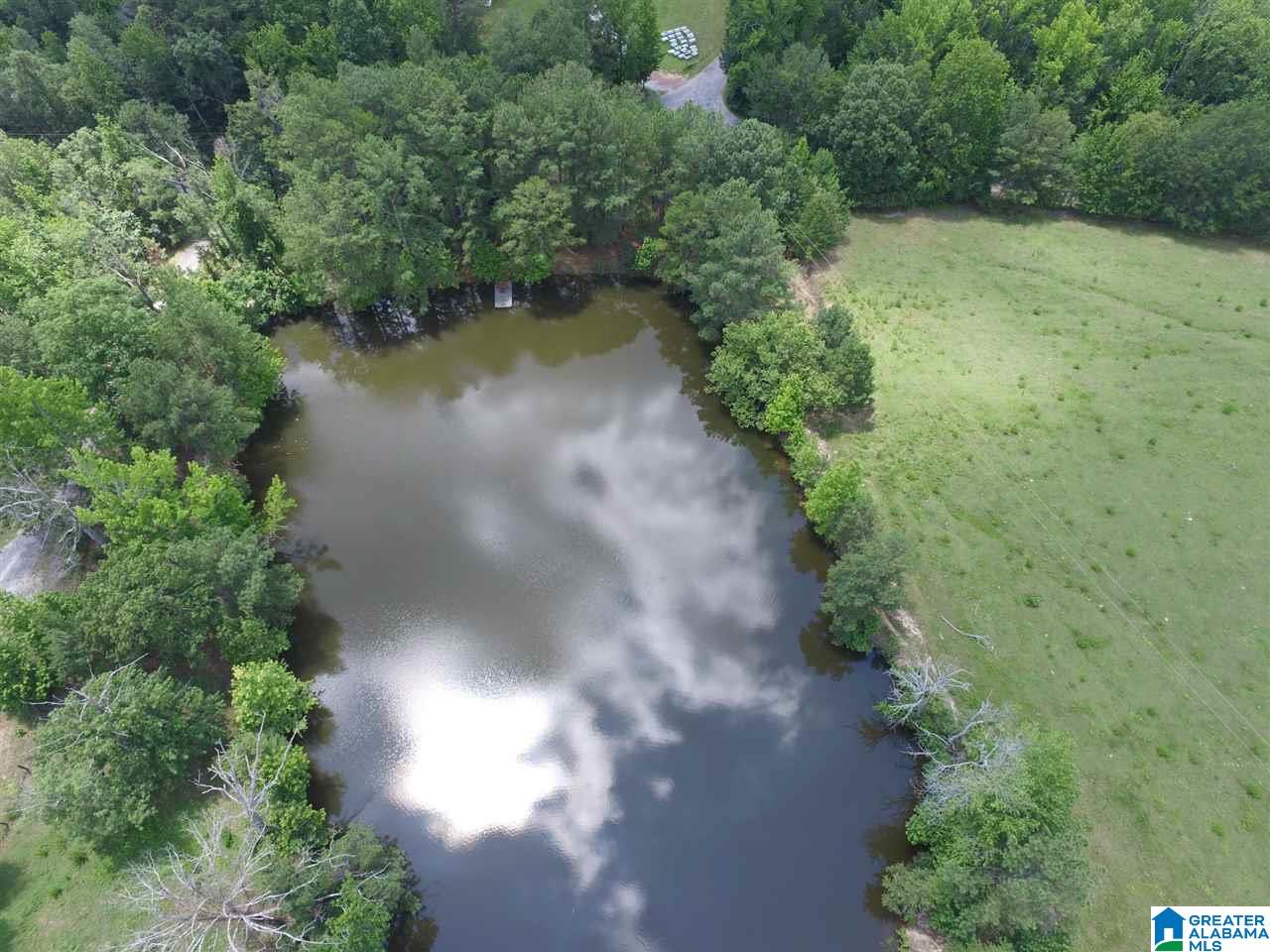 1900 Kiowa Road Remlap, AL 35133 - Photo 6 of 36
