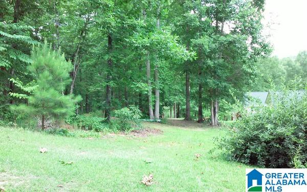 Holliday Drive, Unit 14 Lineville, AL 36266 - Photo 4 of 5