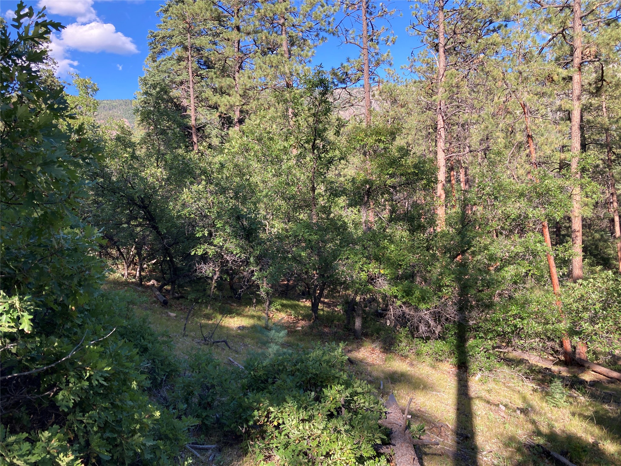 Tbd Serenity Road Chama, NM 87520 - Photo 14 of 20