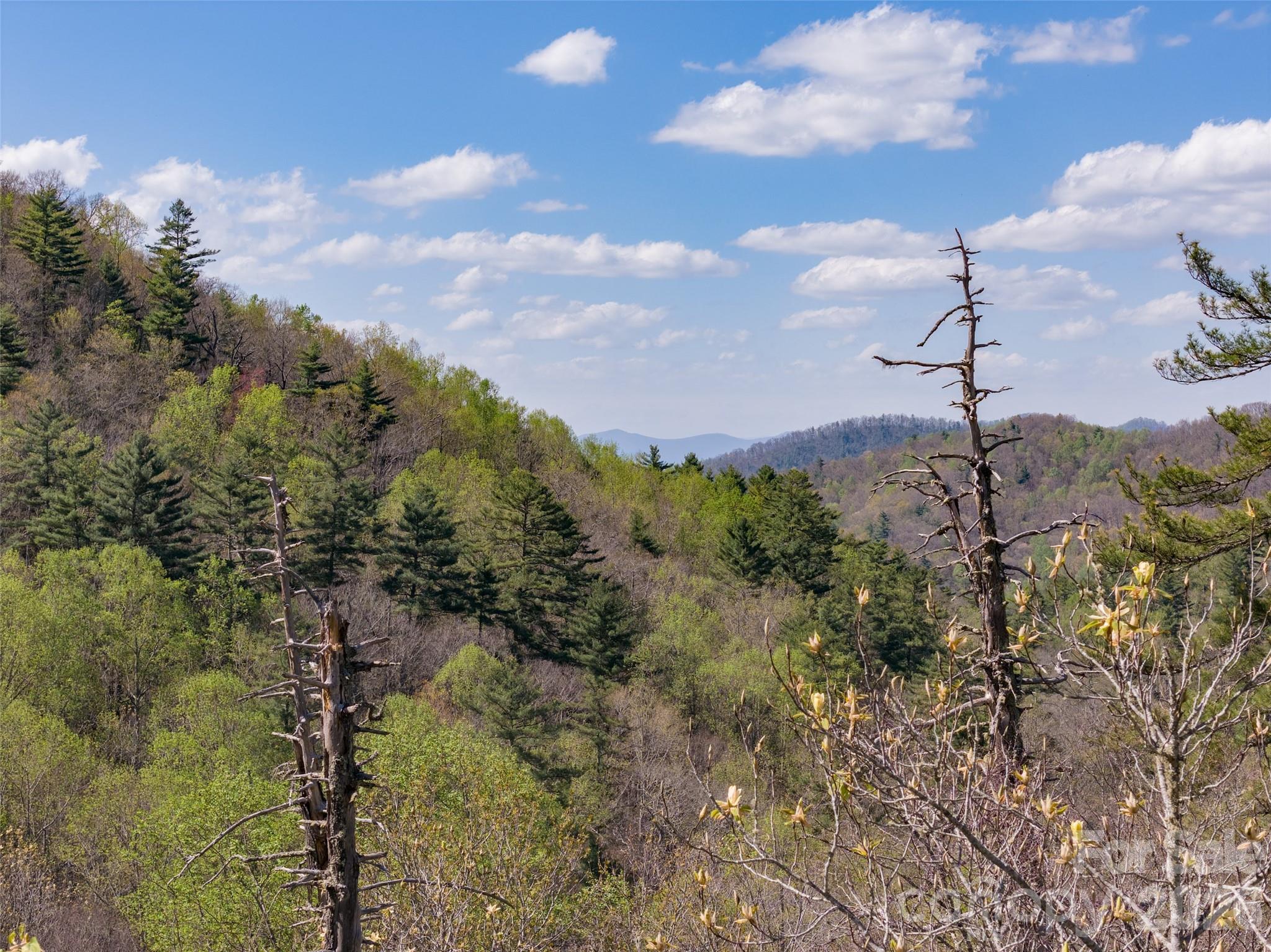 4419 Flat Mountain Road Highlands, NC 28741 - Photo 12 of 17