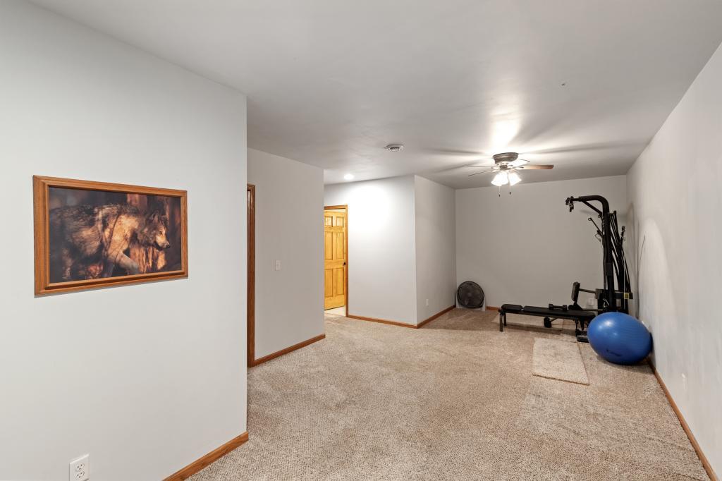 20164 Rhoda Avenue Welch, MN 55089 - Photo 21 of 30 Gallery Image 21