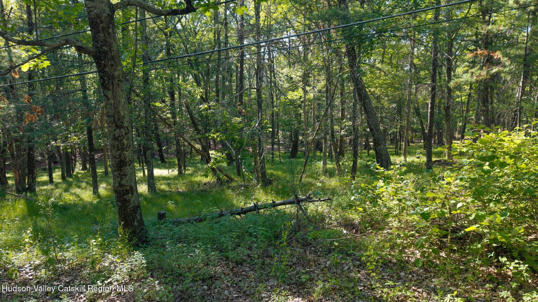 Tbd-1 Mt Airy Road Saugerties, NY 12477 - Photo 5 of 12 Land 2