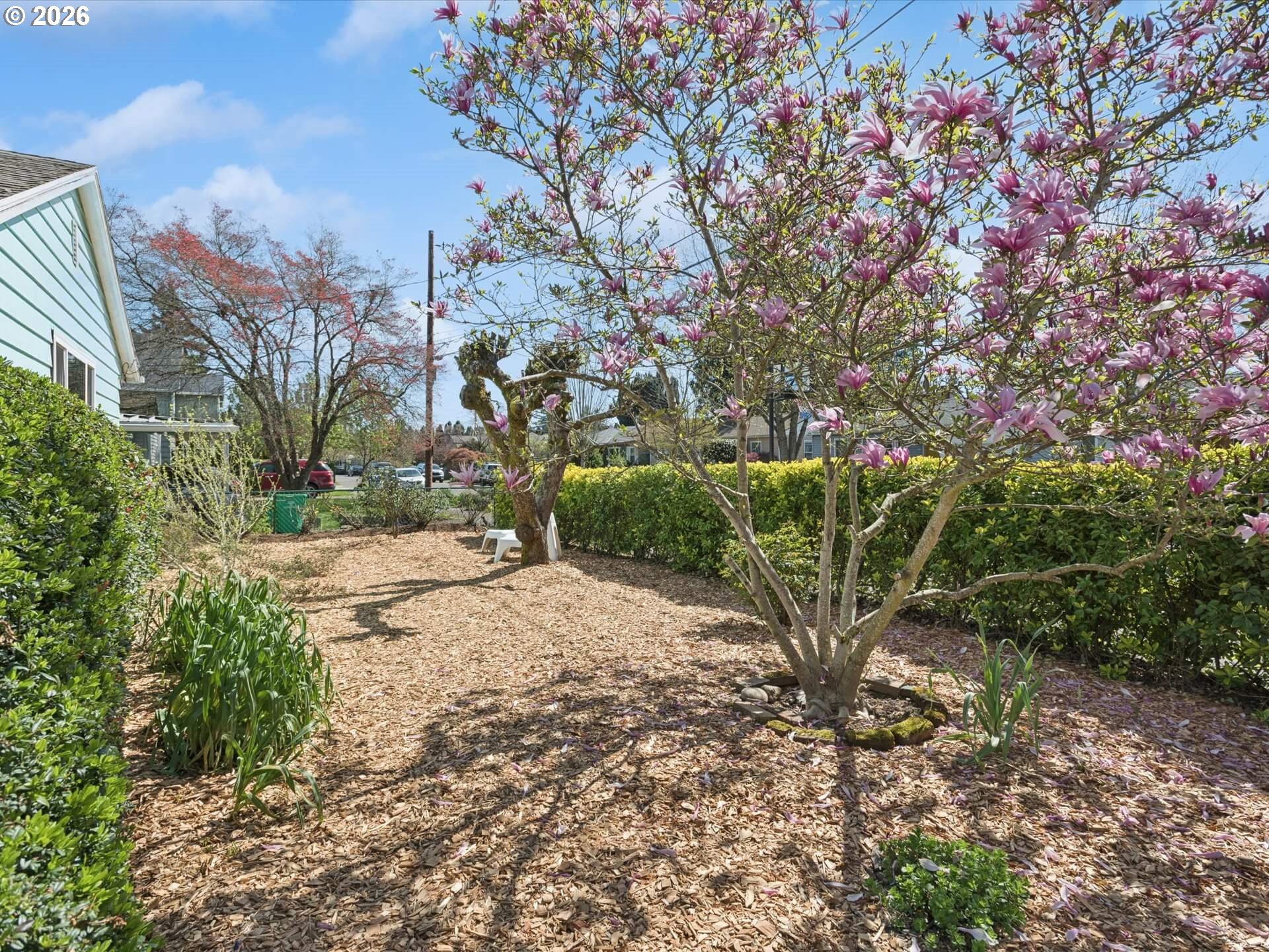 6030 Southeast 80th Avenue Portland, OR 97206 - Photo 39 of 42 a view of a yard with plants and trees