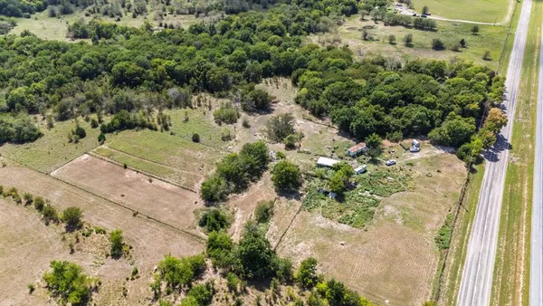 a view of a garden with a plants