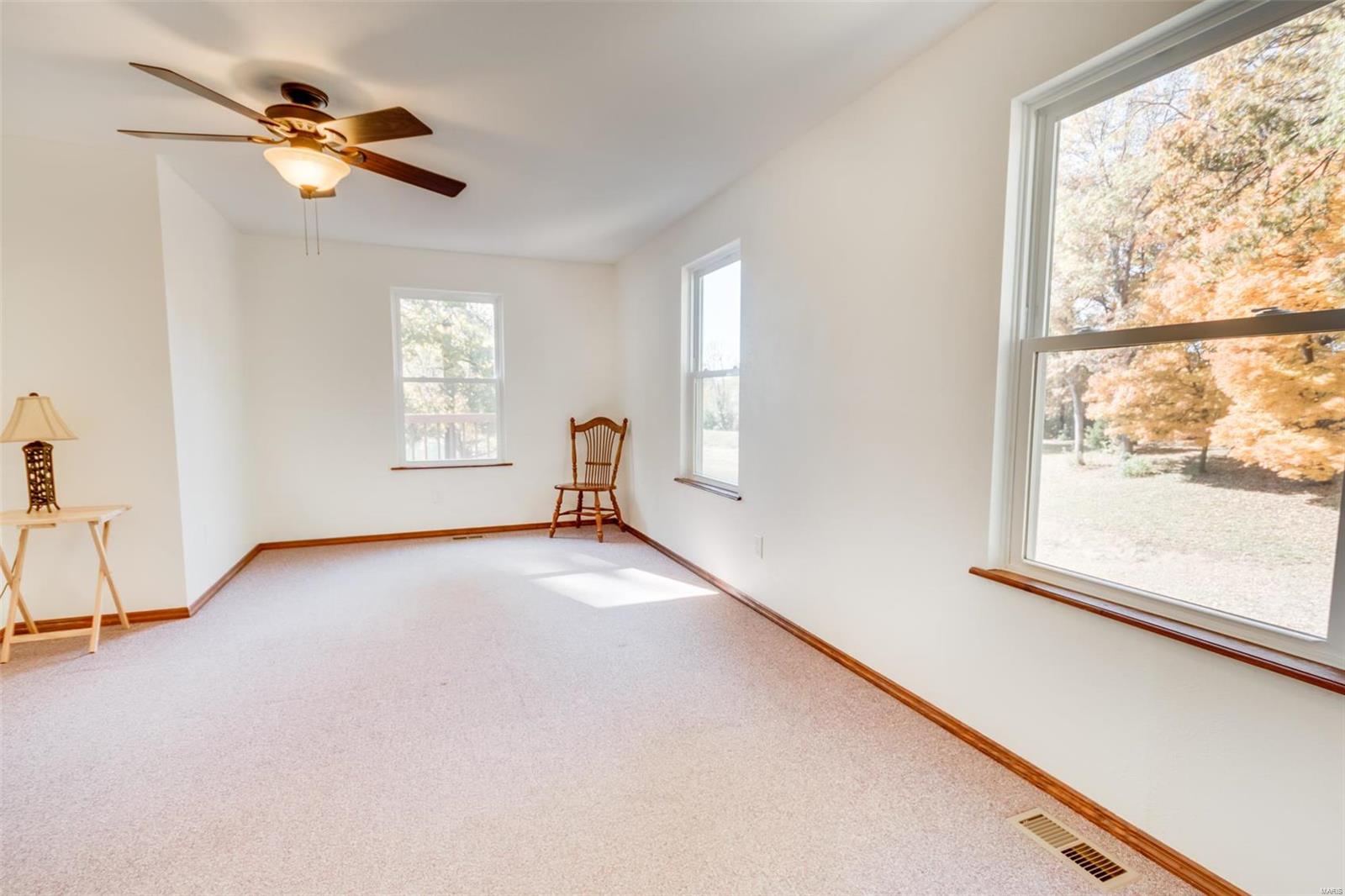 4101 Altes Road Fults, IL 62244 - Photo 19 of 61