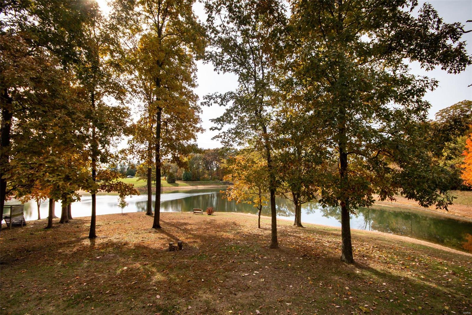 4101 Altes Road Fults, IL 62244 - Photo 49 of 61