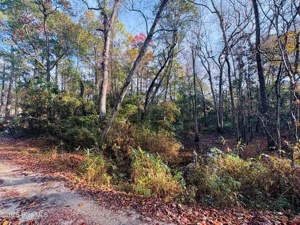 $32,500 | 1574 Hollywood Street, Shallotte, NC 28470