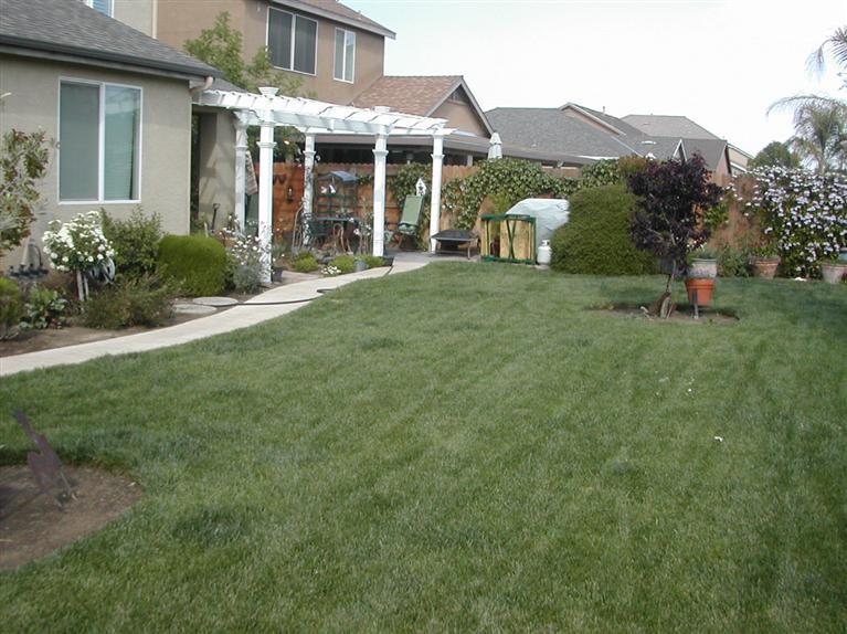 577 Sierra Avenue Reedley, CA 93654 - Photo 2 of 14 Gallery Image 2