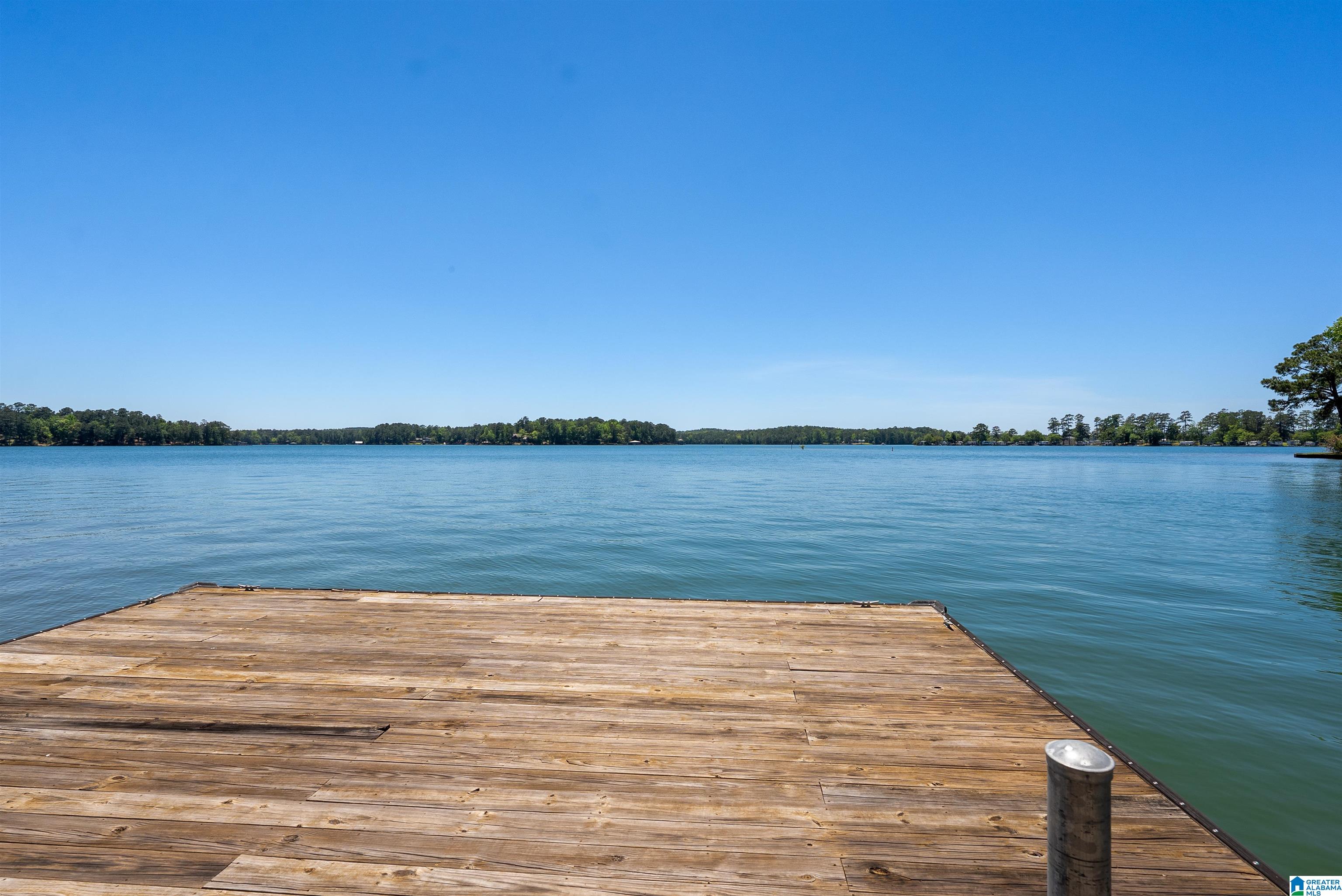 118 Canoe Point Eclectic, AL 36024 - Photo 46 of 60