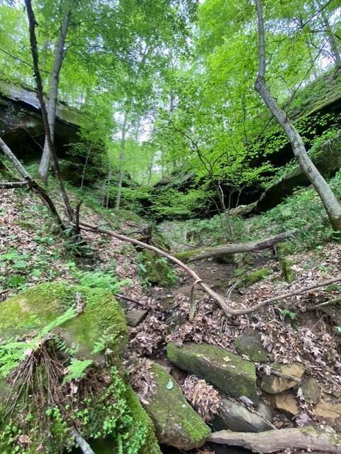 23085 Jordan Run Road Coolville, OH 45723 - Photo 15 of 18 869201ea-5b1a-4935-90ed-eea2b7bd6684