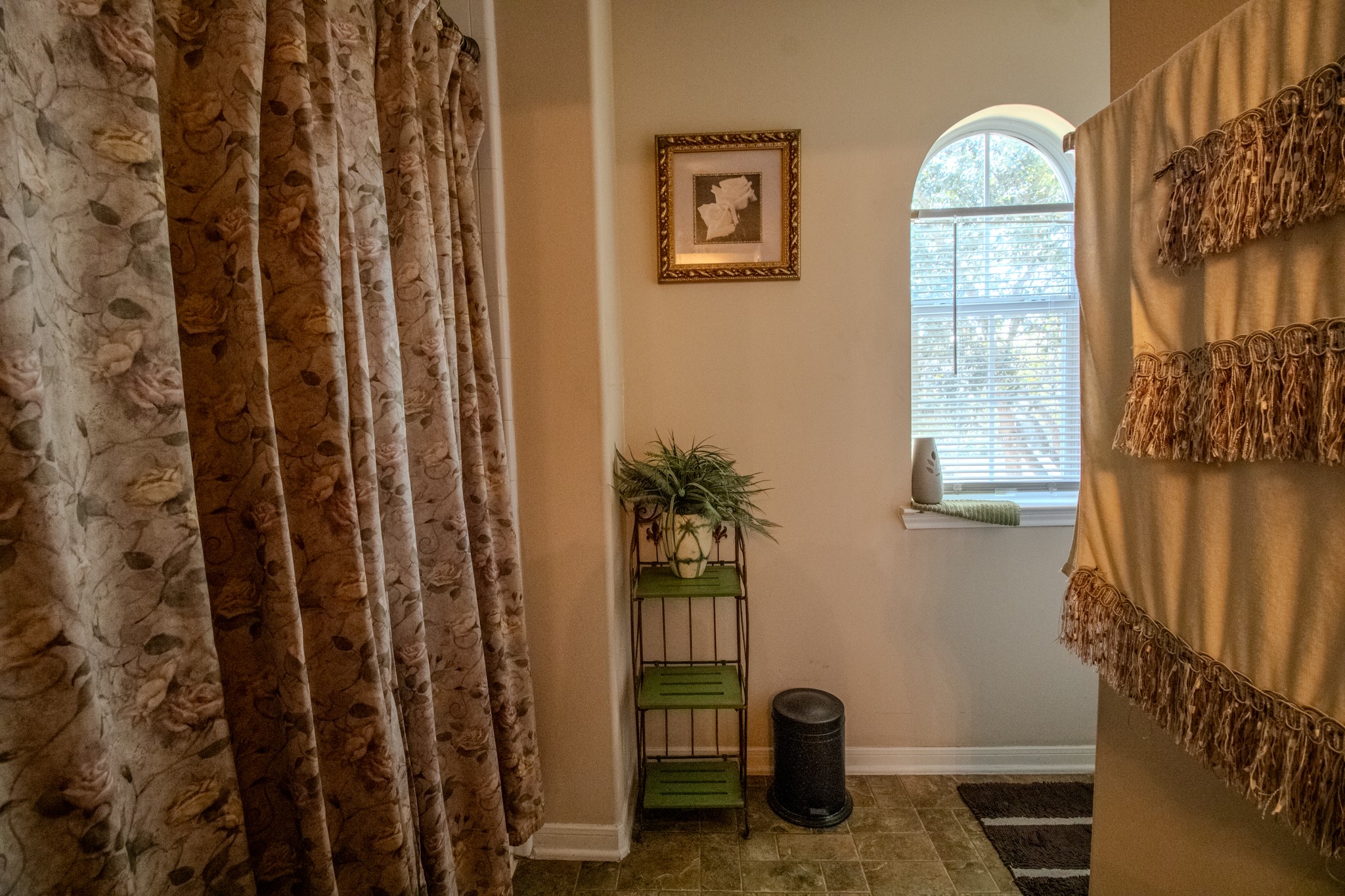 5 Carmel Chase Court Manvel, TX 77578 - Photo 30 of 39