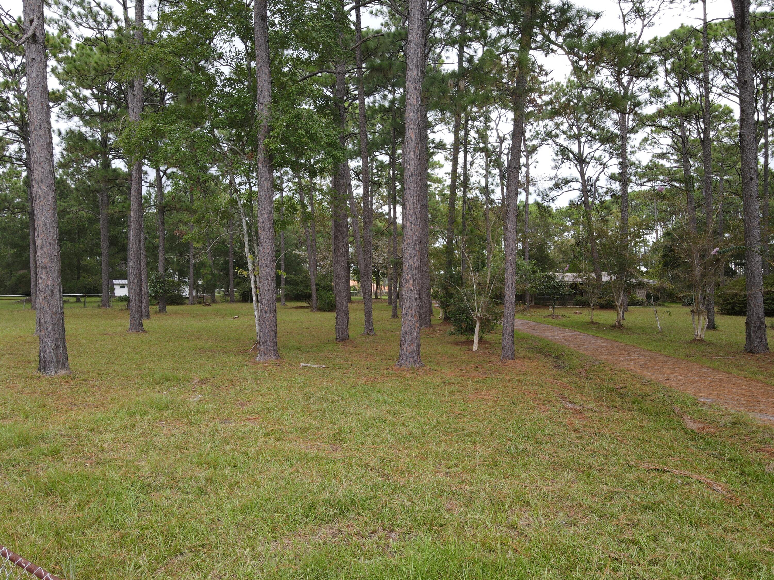 14703 Highway 331 Business Freeport, FL 32439 - Photo 7 of 18 dji_fly_20240916_131510_434_172651975815