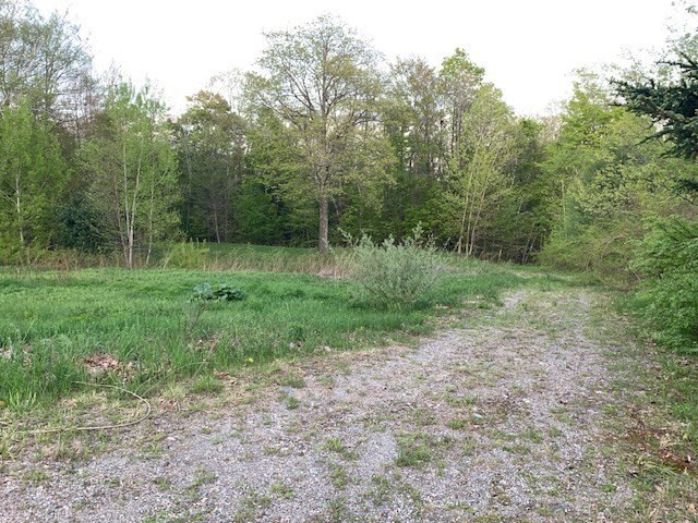 Gallery Image 6
