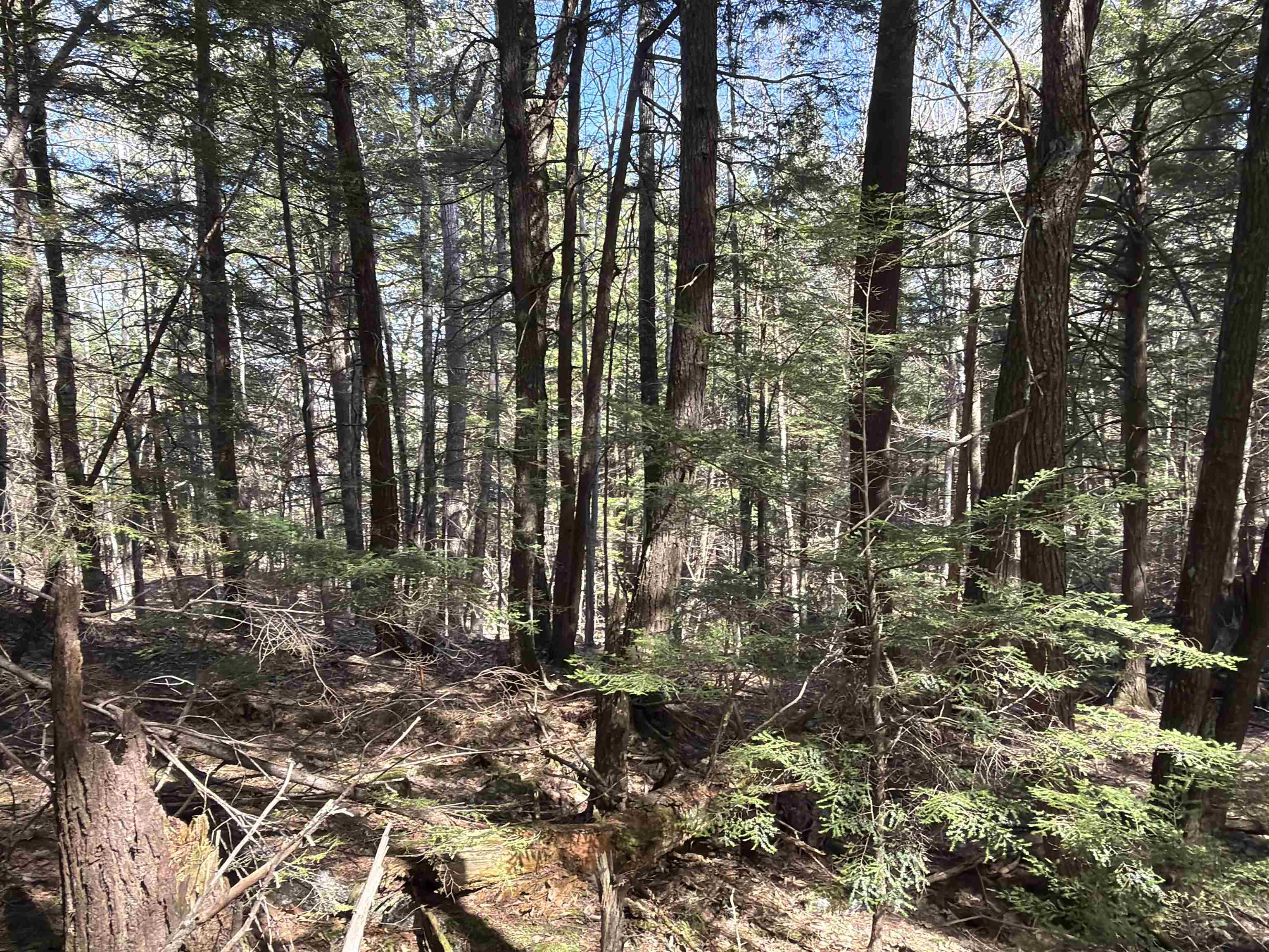 R29-l9 Roxbury Road, Unit LOT 9 Meredith, NH 03253 - Photo 22 of 36