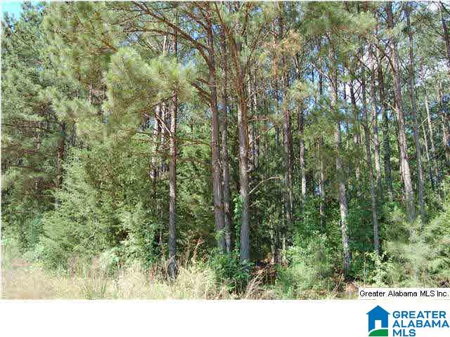 79 Northwest County Road, Unit 50 67 Prattville, AL 36067 - Photo 12 of 13