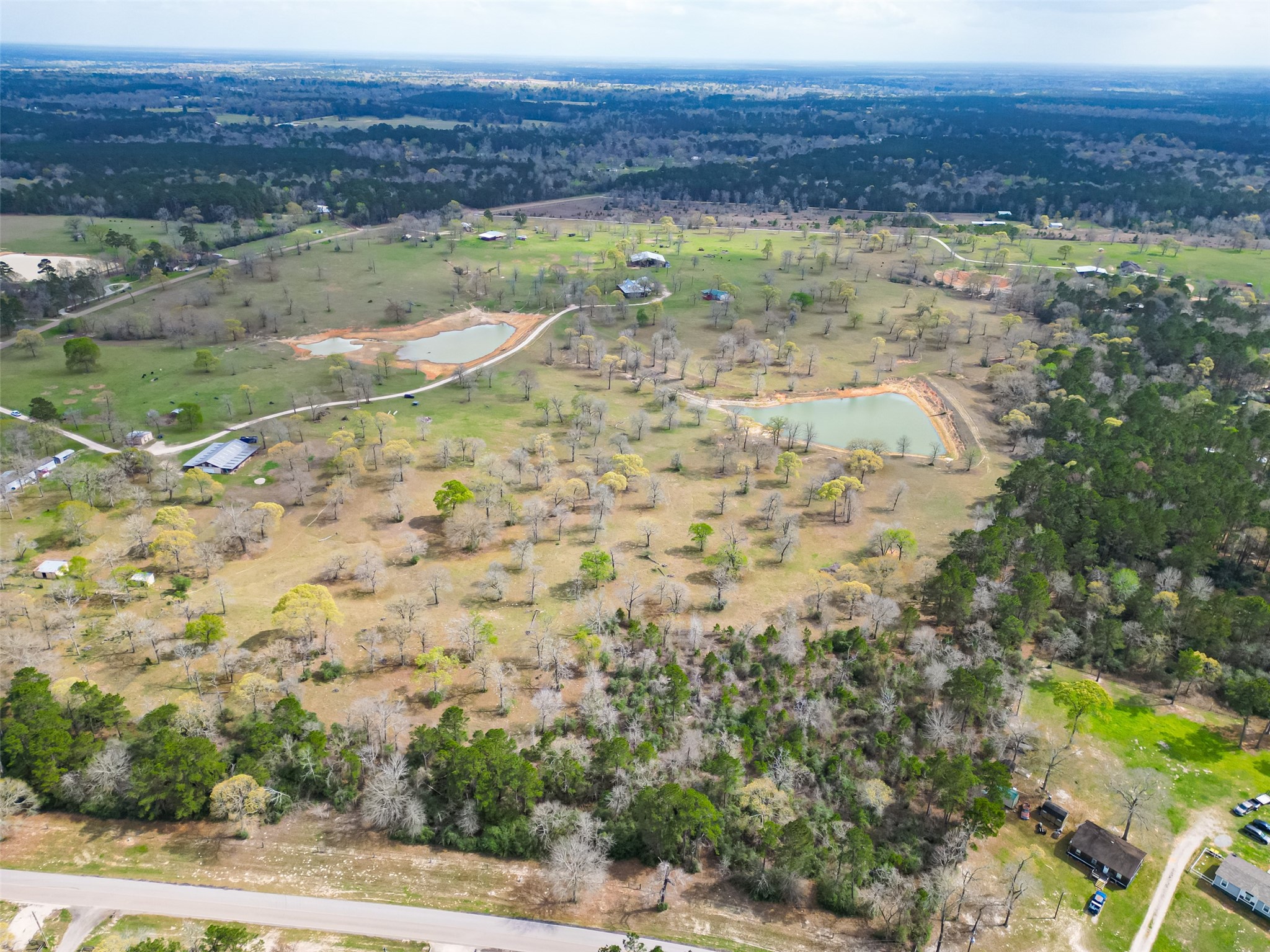 0 Clint Parker Road Conroe, TX 77303 - Photo 14 of 29