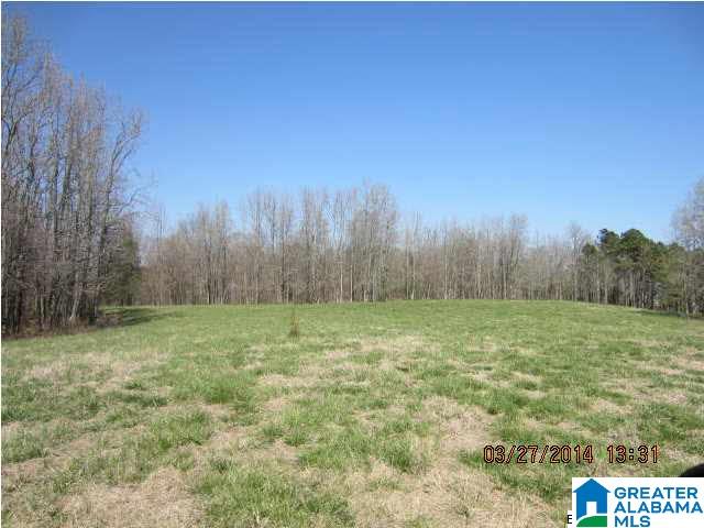 2137 State Lake Road Lineville, AL 36266 - Photo 17 of 17