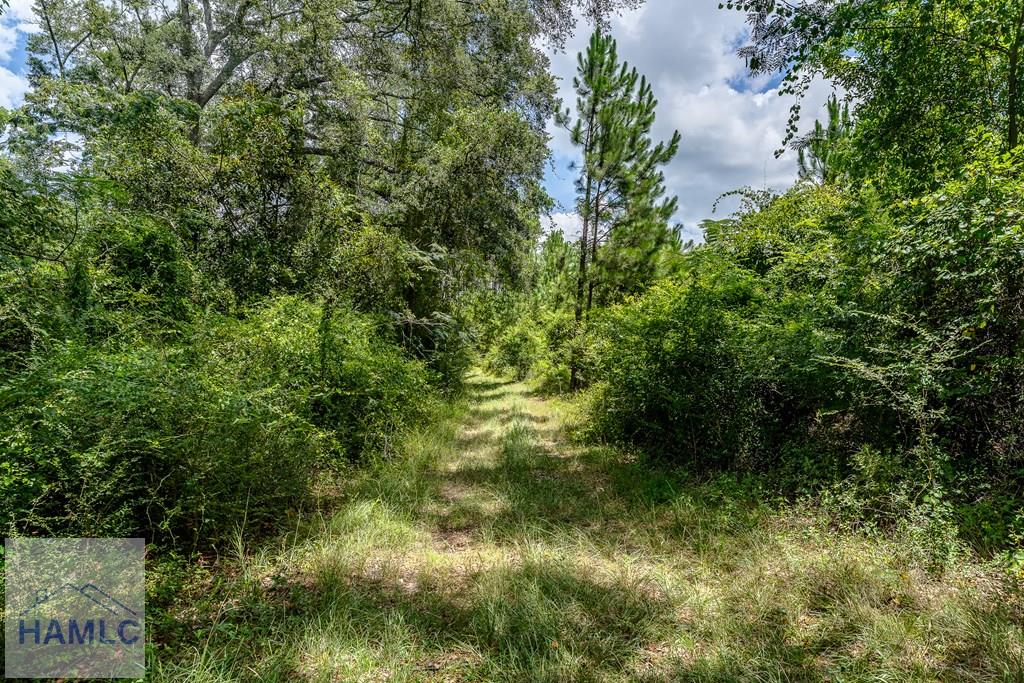 0 Nesbit Road Jesup, GA 31545 - Photo 26 of 35 Gallery Image 26