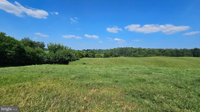 a view of a water pond with green space