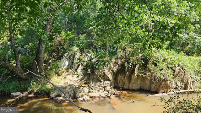 a view of a lake with a yard