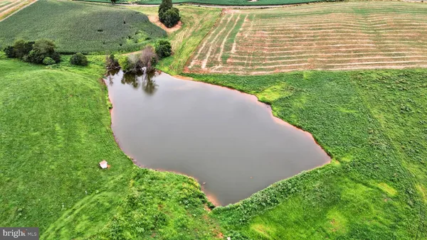a view of a garden with an outdoor seating