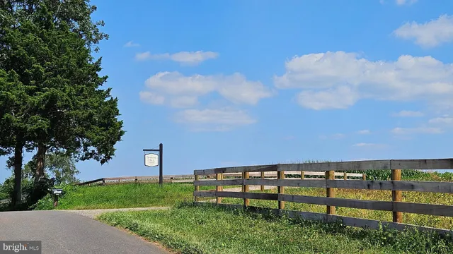 a view of a big yard with a large tree