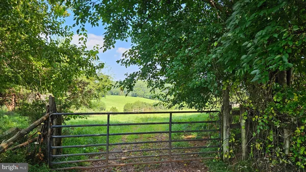 a view of a yard with a tree