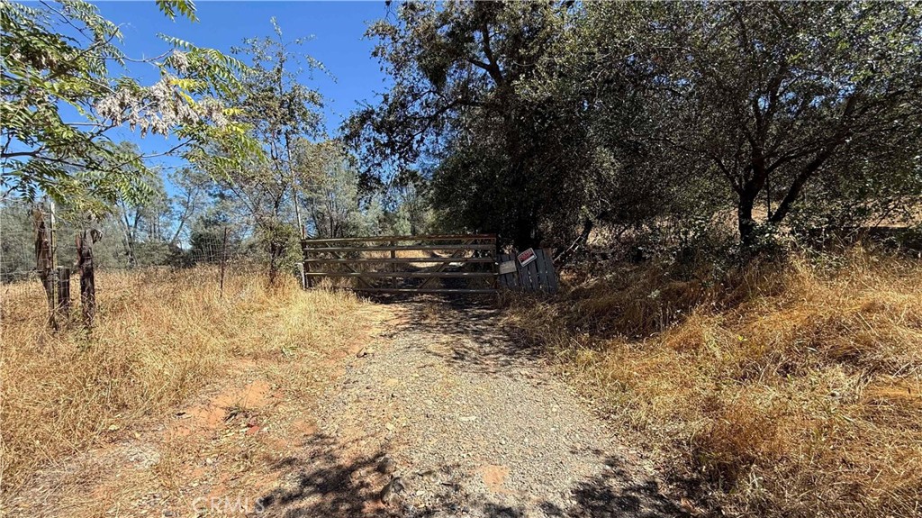 16125 Vierra Road Rackerby, CA 95972 - Photo 24 of 43 Gallery Image 24
