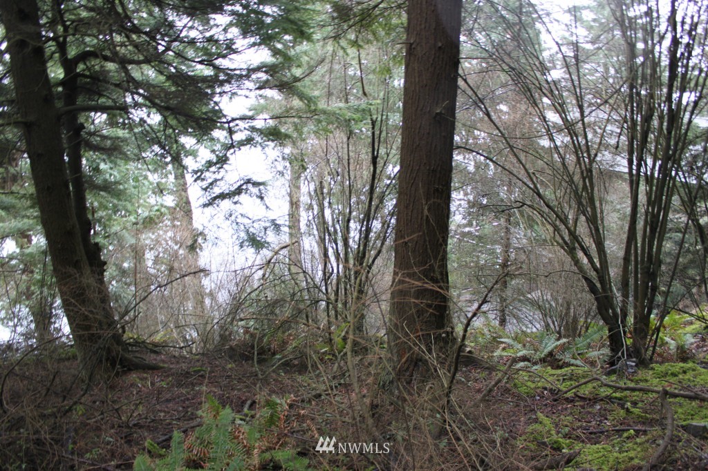 653 Raccoon Point Road Orcas Island, WA 98245 - Photo 8 of 10 Gallery Image 8