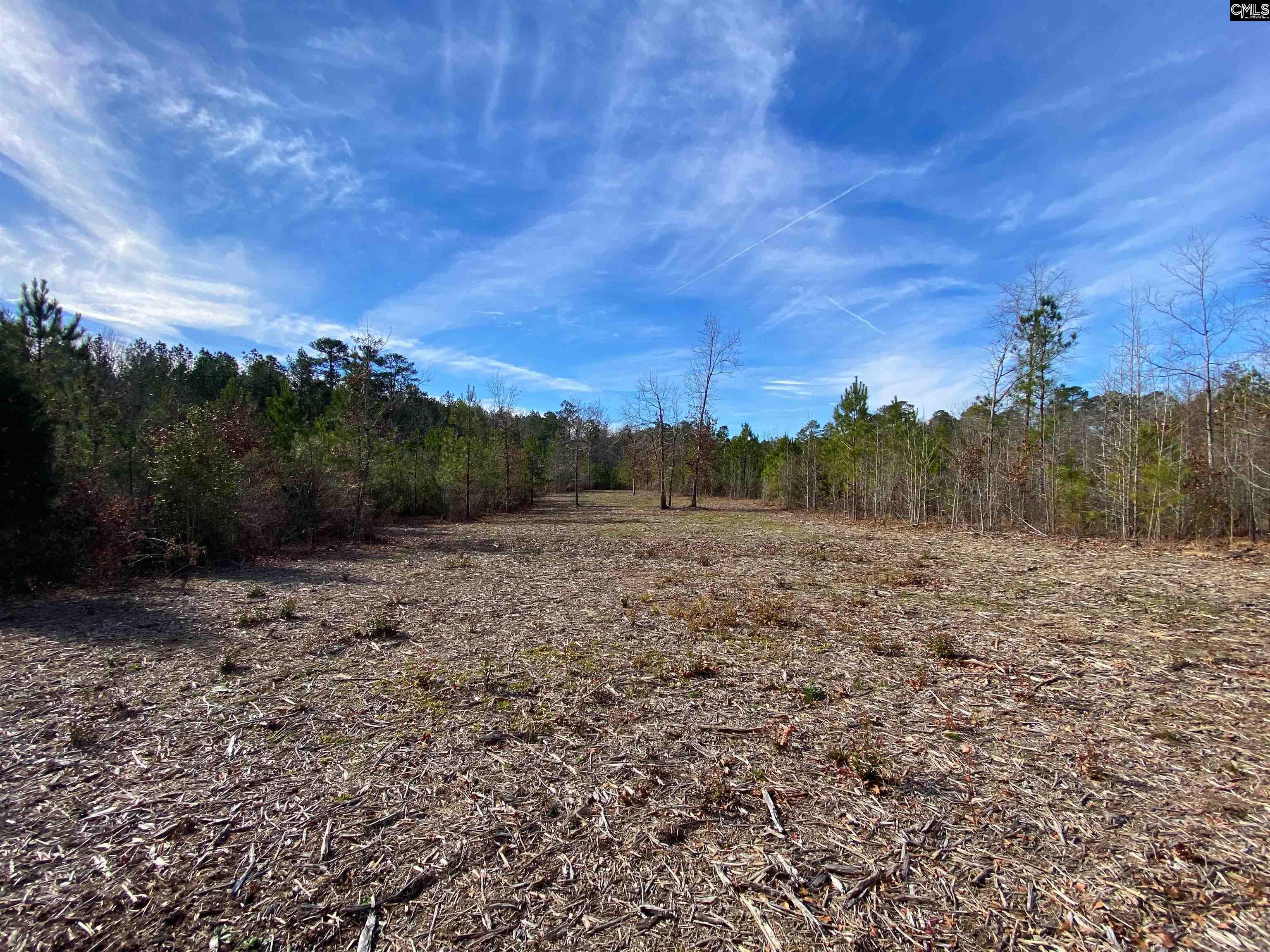 900 Pineywood Road Saluda, SC 29138 - Photo 16 of 23