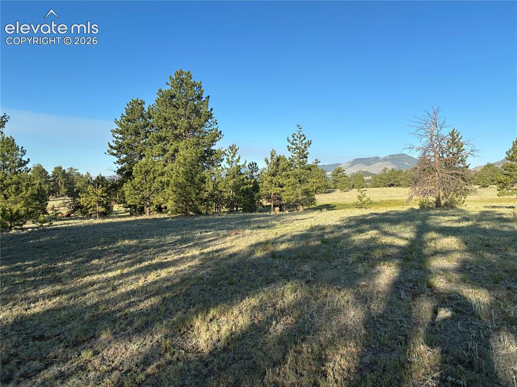 Tbd Doe Valley Road Guffey, CO 80820 - Photo 14 of 19 Central section of the parcel.