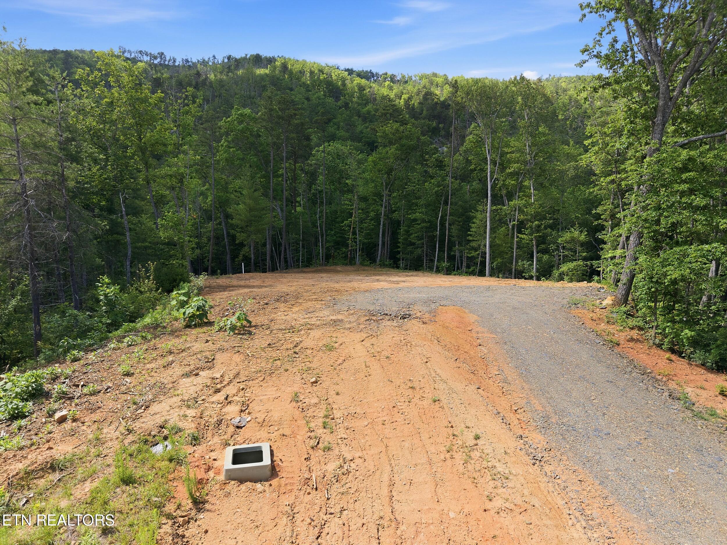 909 The Loop Road Walland, TN 37886 - Photo 19 of 32 16_909_the_loop_rd_0013