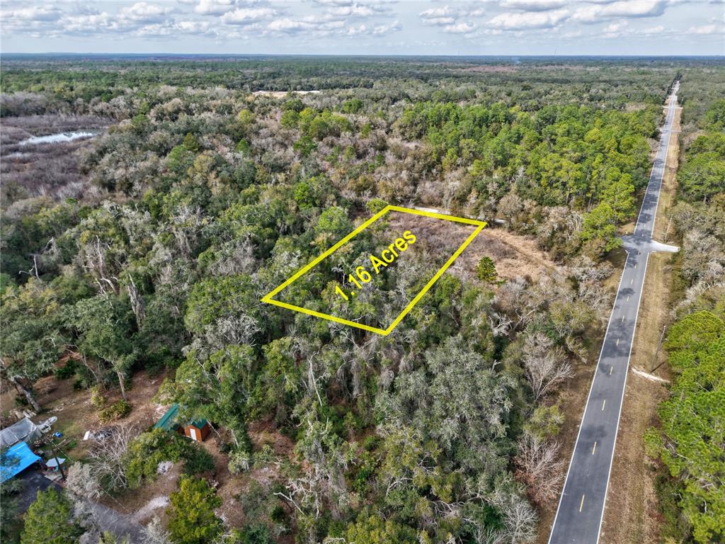 1 Chipstone Street Webster, FL 33597 - Photo 1 of 15 a view of a field with plants and wooden fence