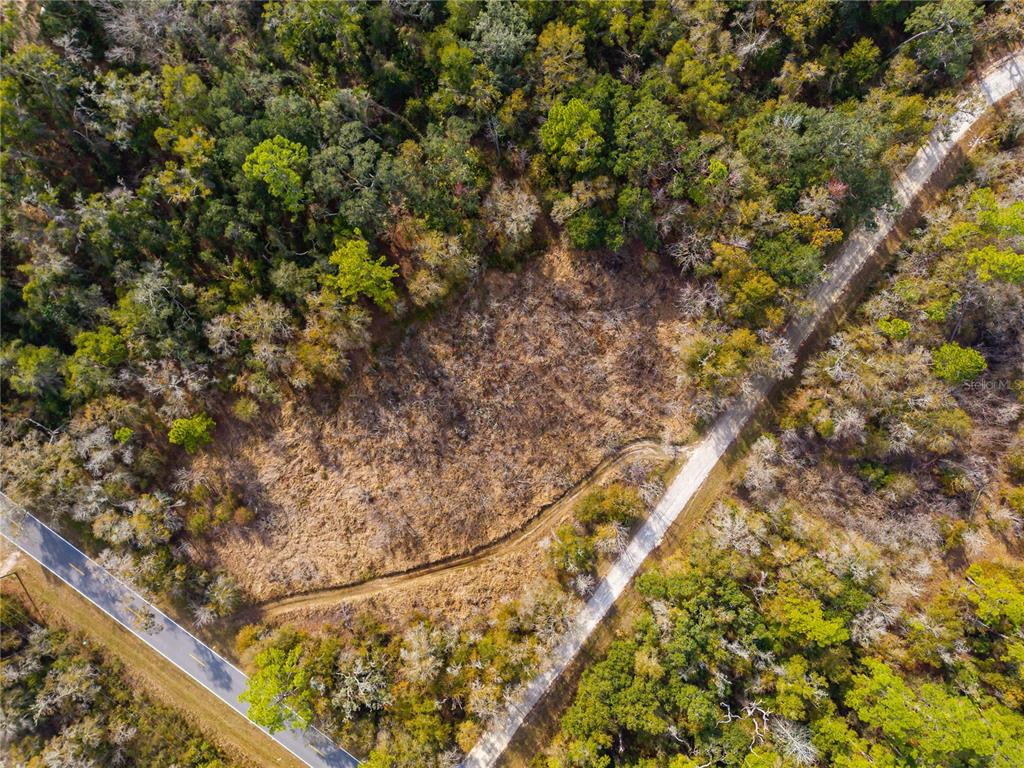 1 Chipstone Street Webster, FL 33597 - Photo 12 of 15 a view of a yard