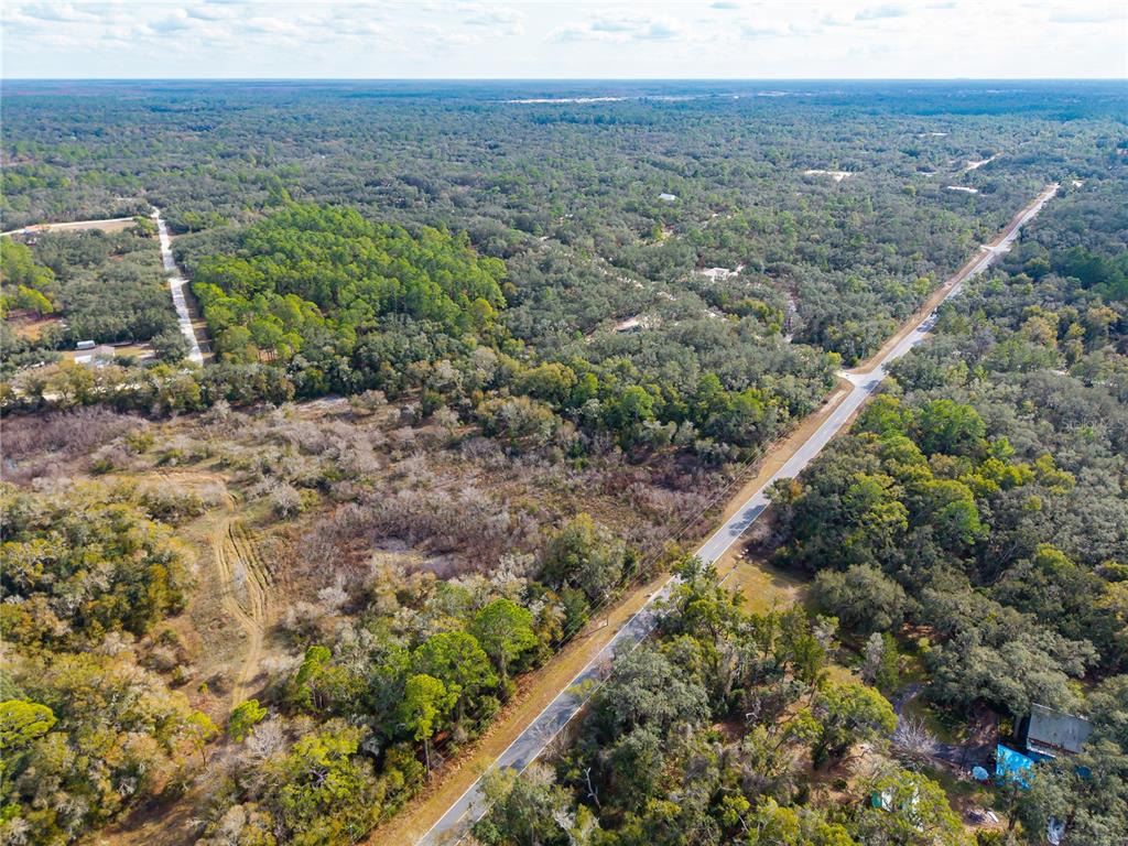 1 Chipstone Street Webster, FL 33597 - Photo 14 of 15 a view of a city with lush green forest