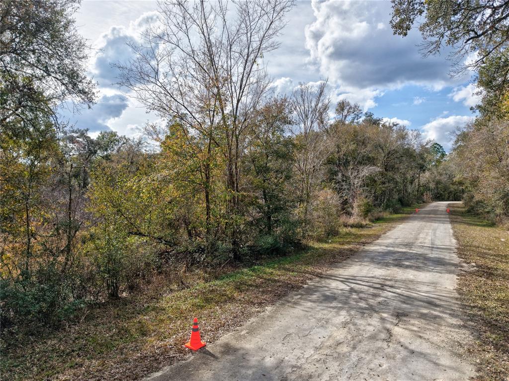 1 Chipstone Street Webster, FL 33597 - Photo 4 of 15