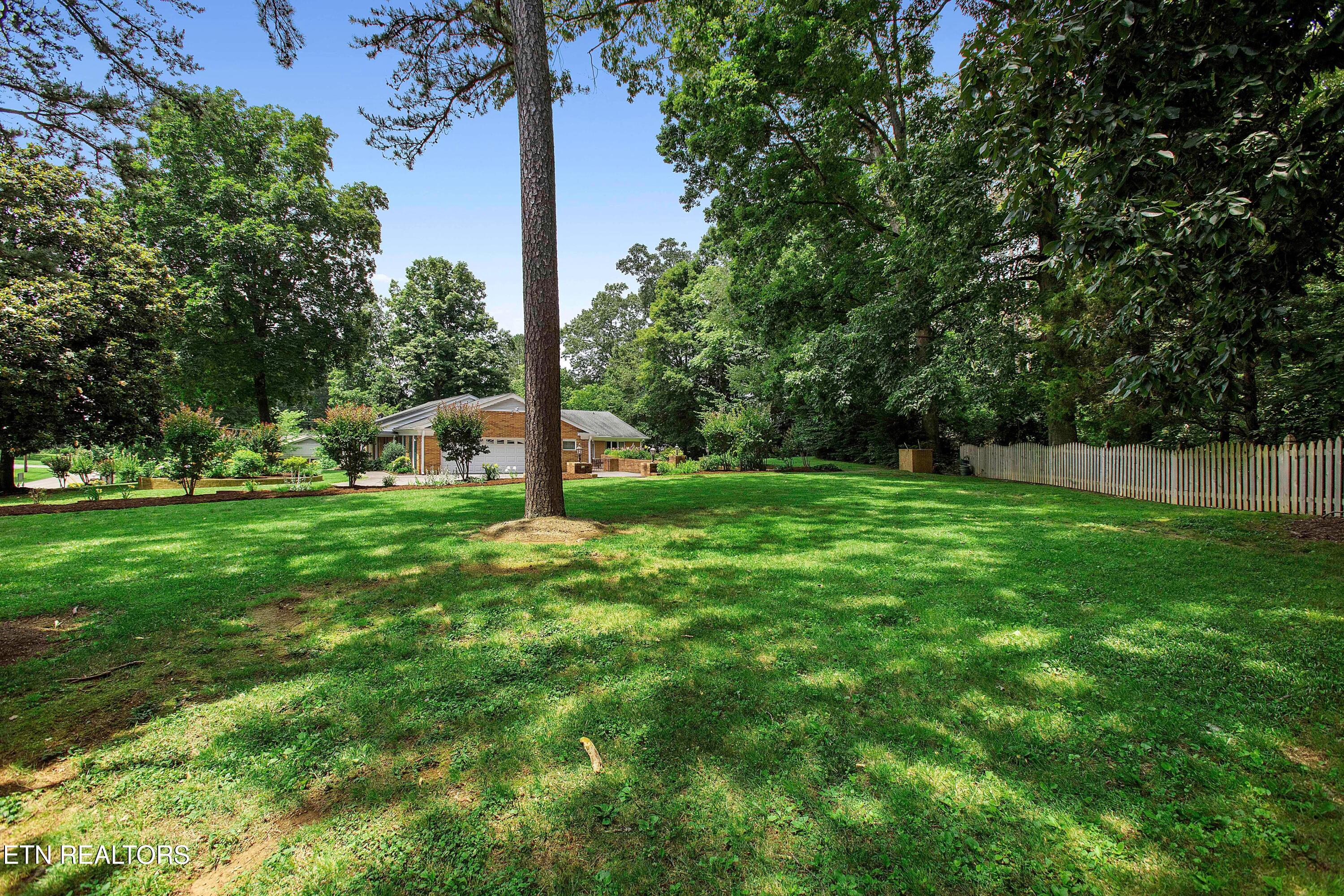 601 Broome Road Northwest Knoxville, TN 37909 - Photo 35 of 37 oversize side yard