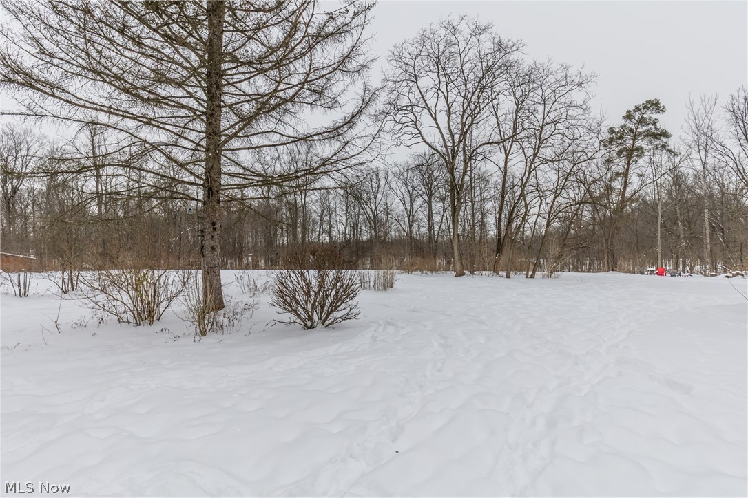 6499 Neff Road Valley City, OH 44280 - Photo 33 of 35 Gallery Image 33