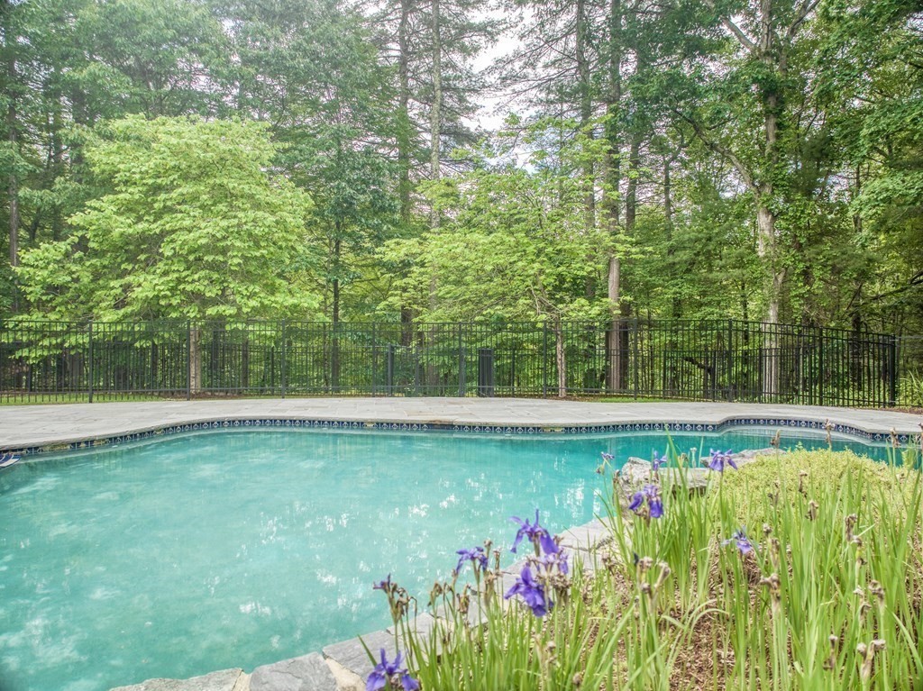 246 Elizabeth Ridge Road Carlisle, MA 01741 - Photo 5 of 38 a view of a swimming pool with a garden