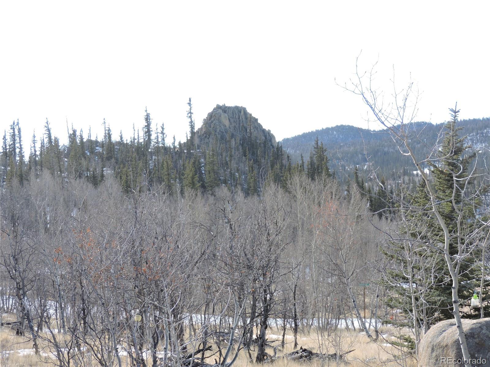 552 Highfill Road Jefferson, CO 80456 - Photo 8 of 14 Gallery Image 8